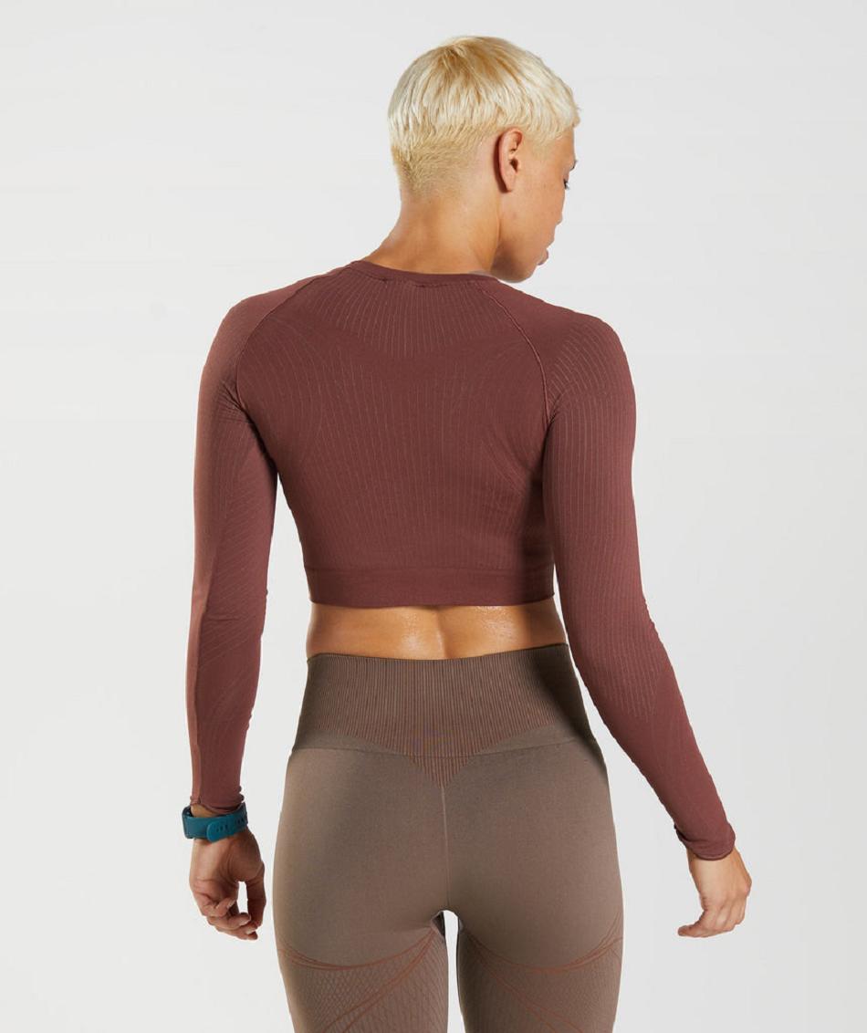 Corp Tops Gymshark Apex Seamless γυναικεια ροζ καφε καφε | GR_QX4457