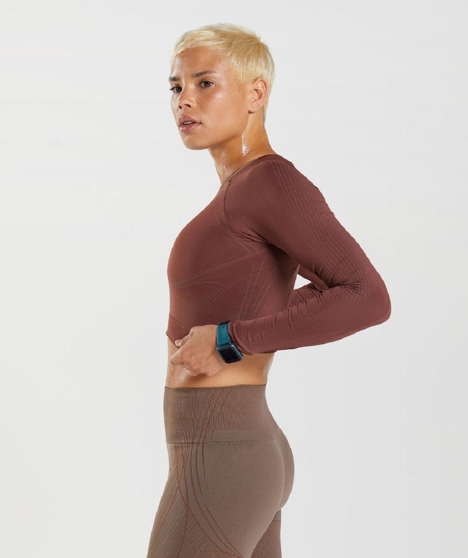 Corp Tops Gymshark Apex Seamless γυναικεια ροζ καφε καφε | GR_QX4457