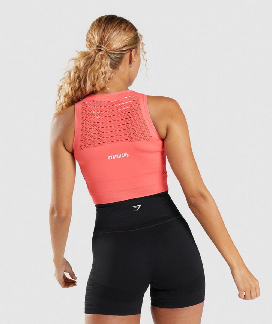 Corp Tops Gymshark Energy Seamless γυναικεια ροζ | GR_TC3717