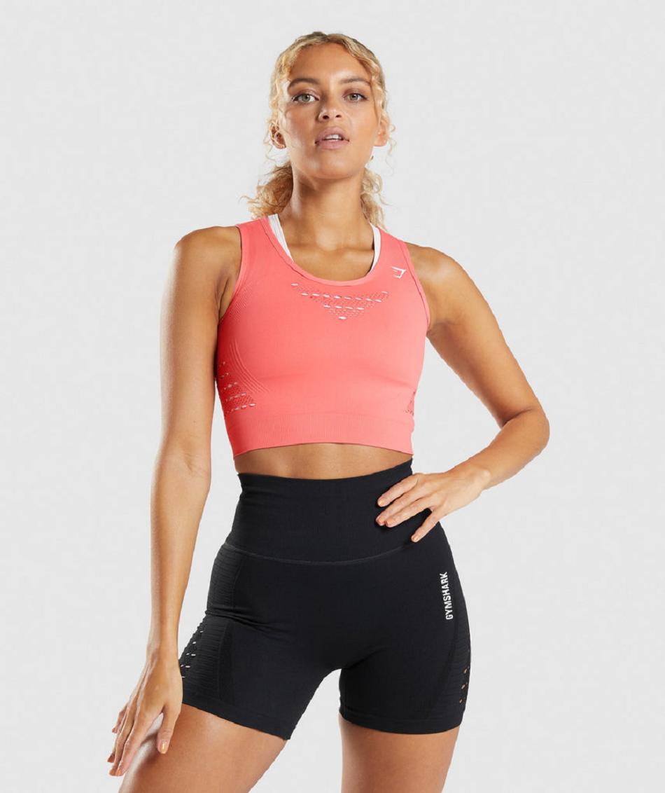 Corp Tops Gymshark Energy Seamless γυναικεια ροζ | GR_TC3717
