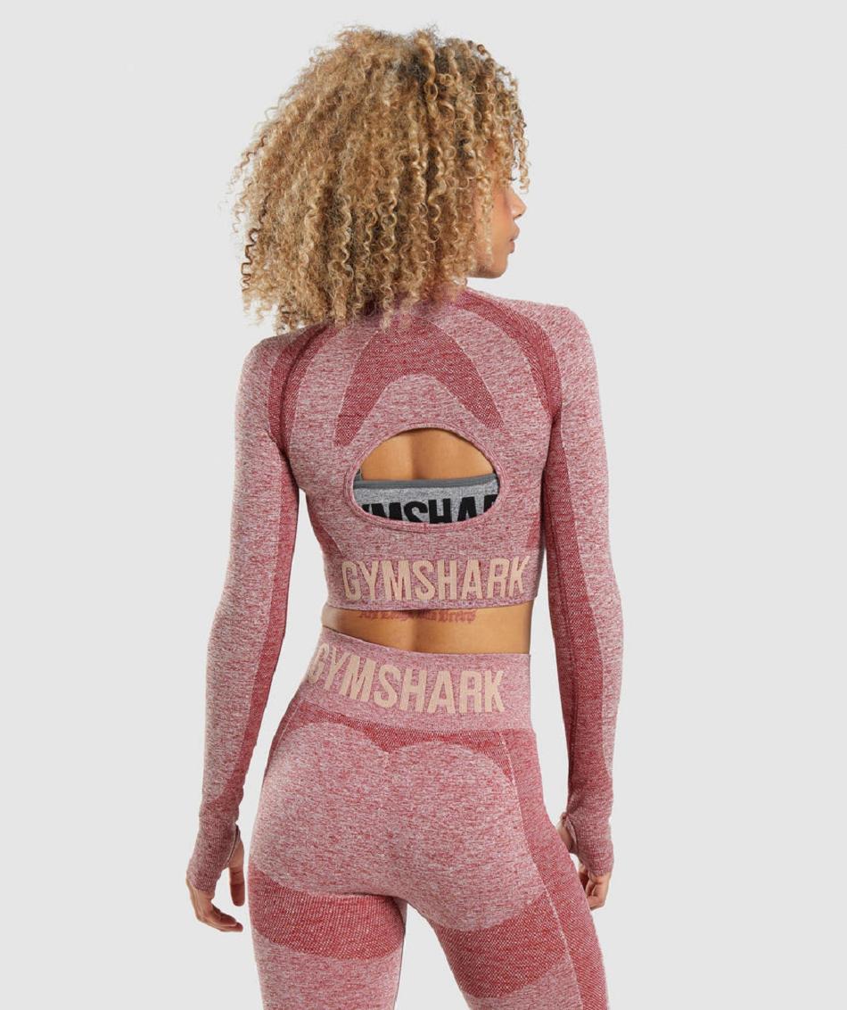 Corp Tops Gymshark Flex Sports Long Sleeve γυναικεια μπορντο | GR_EC6481