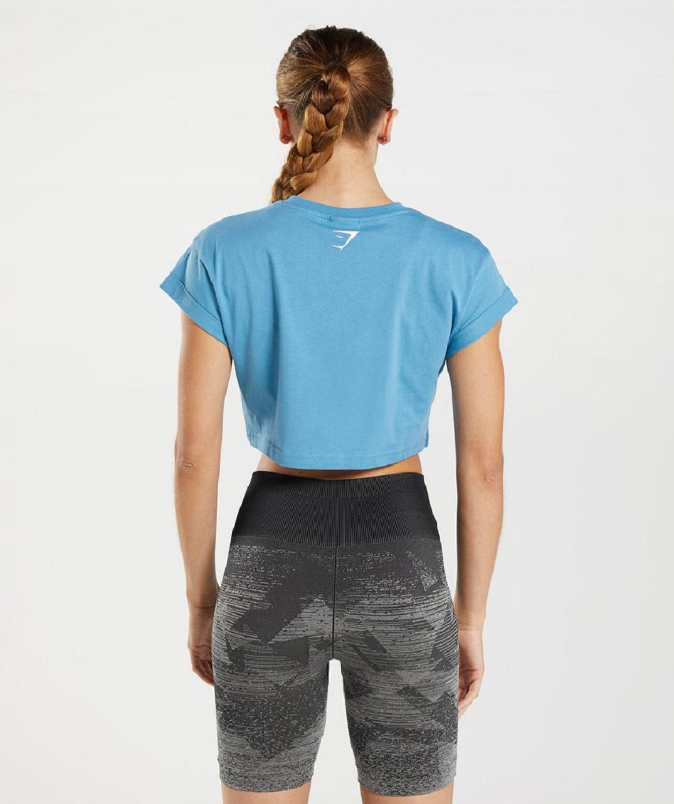 Corp Tops Gymshark Fraction γυναικεια μπλε | GR_EC5190