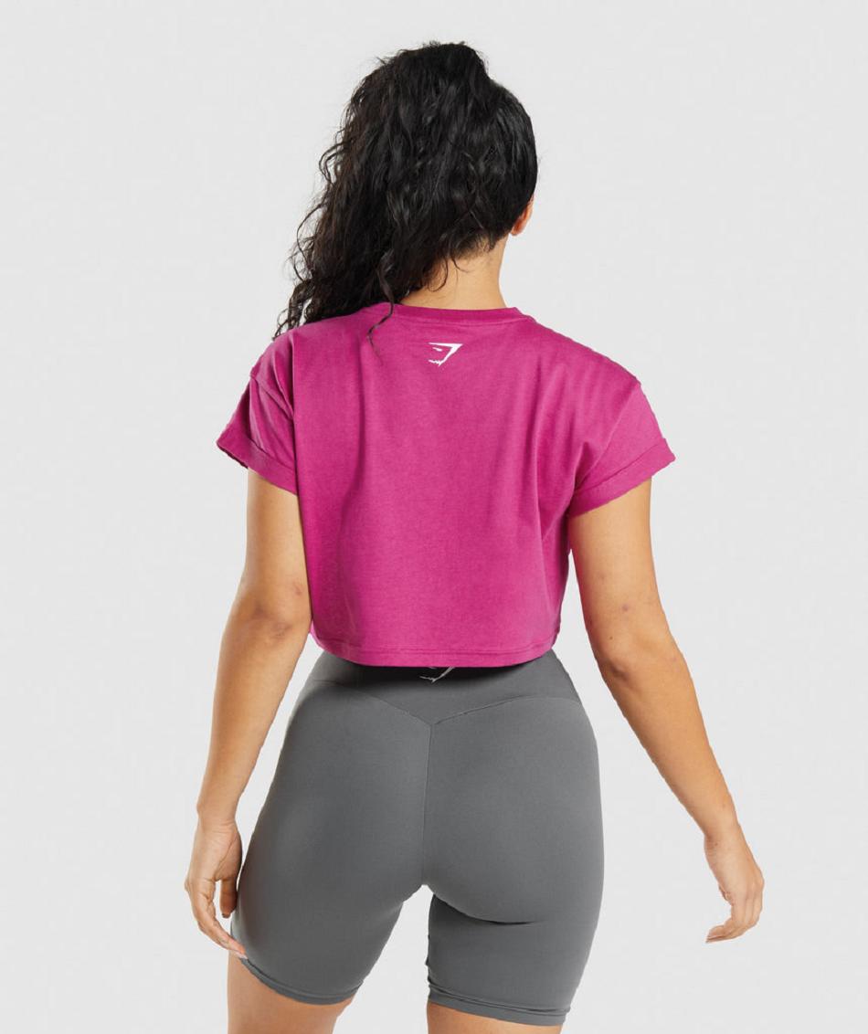 Corp Tops Gymshark Fraction γυναικεια ροζ | GR_O4645