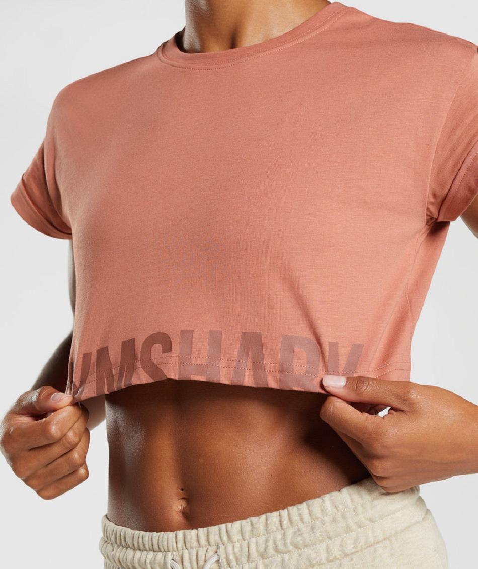 Corp Tops Gymshark Fraction γυναικεια καφε | GR_SU1286