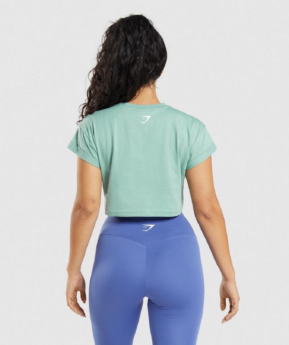 Corp Tops Gymshark Fraction γυναικεια μπλε | GR_TC6516