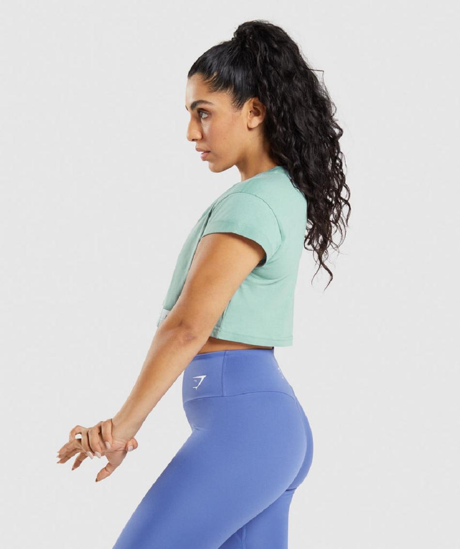 Corp Tops Gymshark Fraction γυναικεια μπλε | GR_TC6516