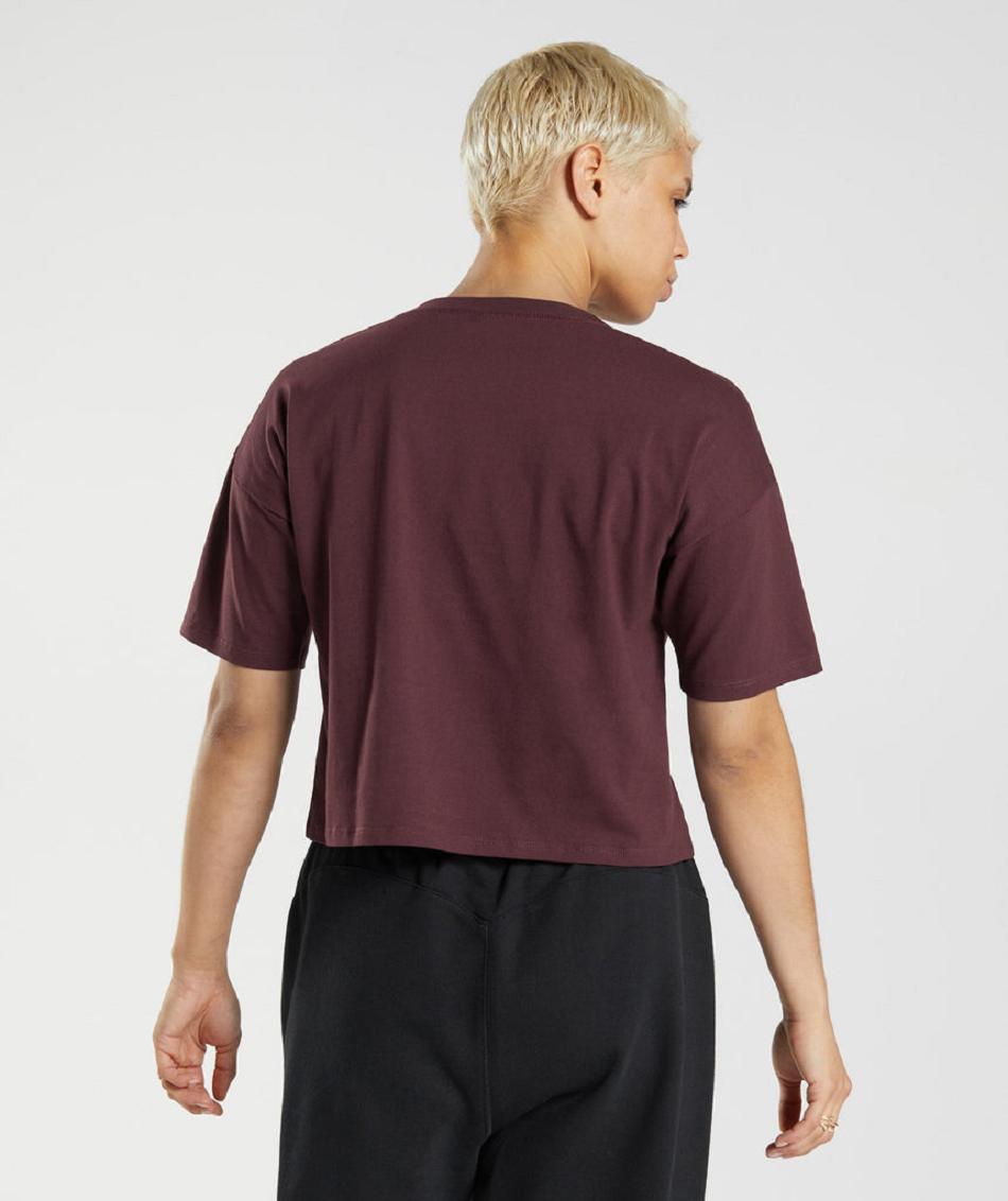 Corp Tops Gymshark Gs10 Year Midi γυναικεια μπορντο | GR_Q4783
