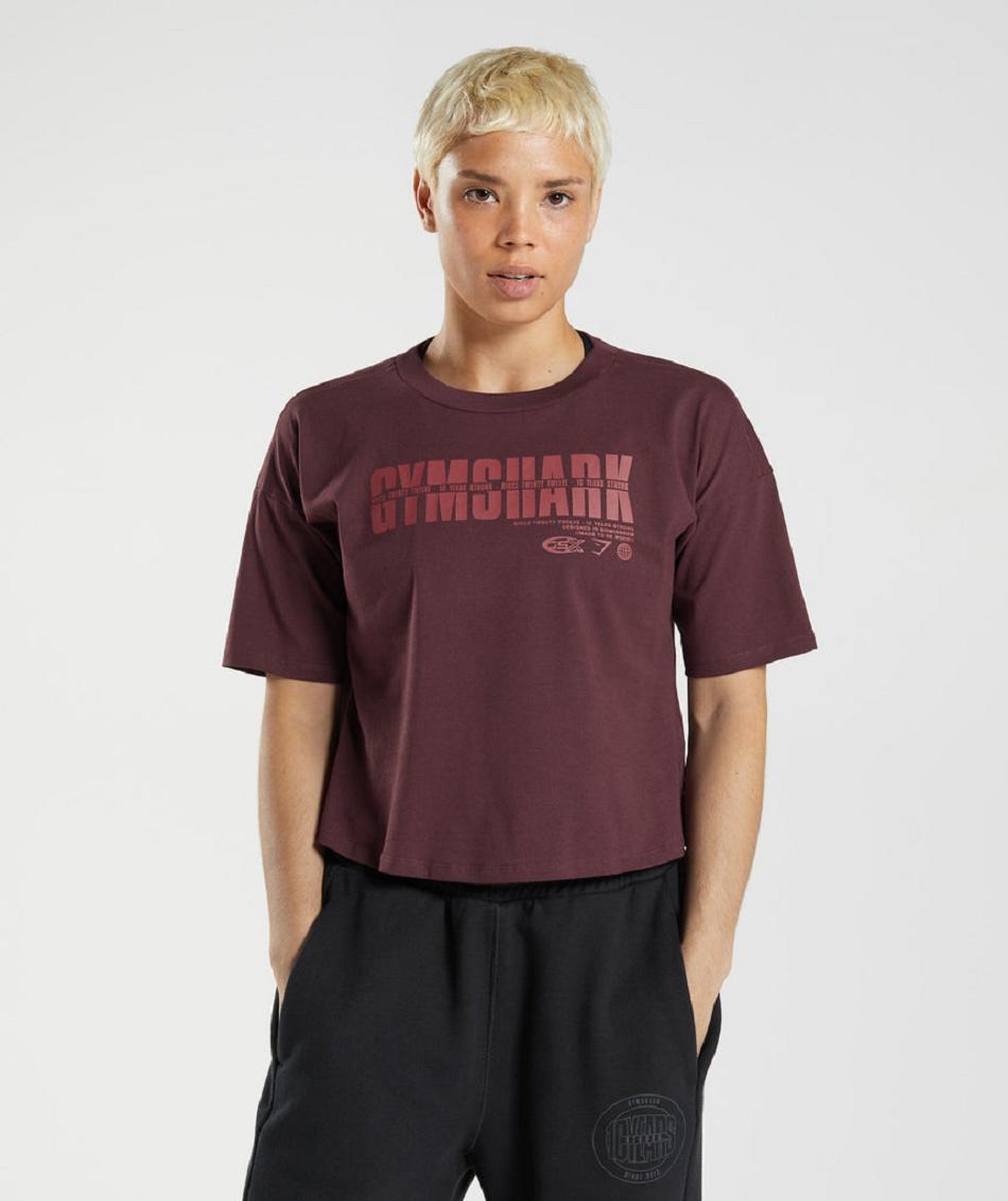 Corp Tops Gymshark Gs10 Year Midi γυναικεια μπορντο | GR_Q4783