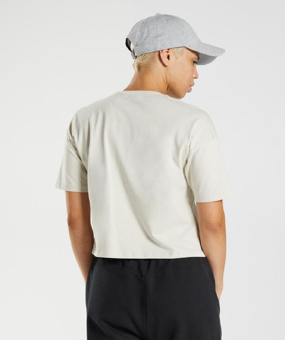 Corp Tops Gymshark Gs10 Year Midi γυναικεια γκρι | GR_SU5403