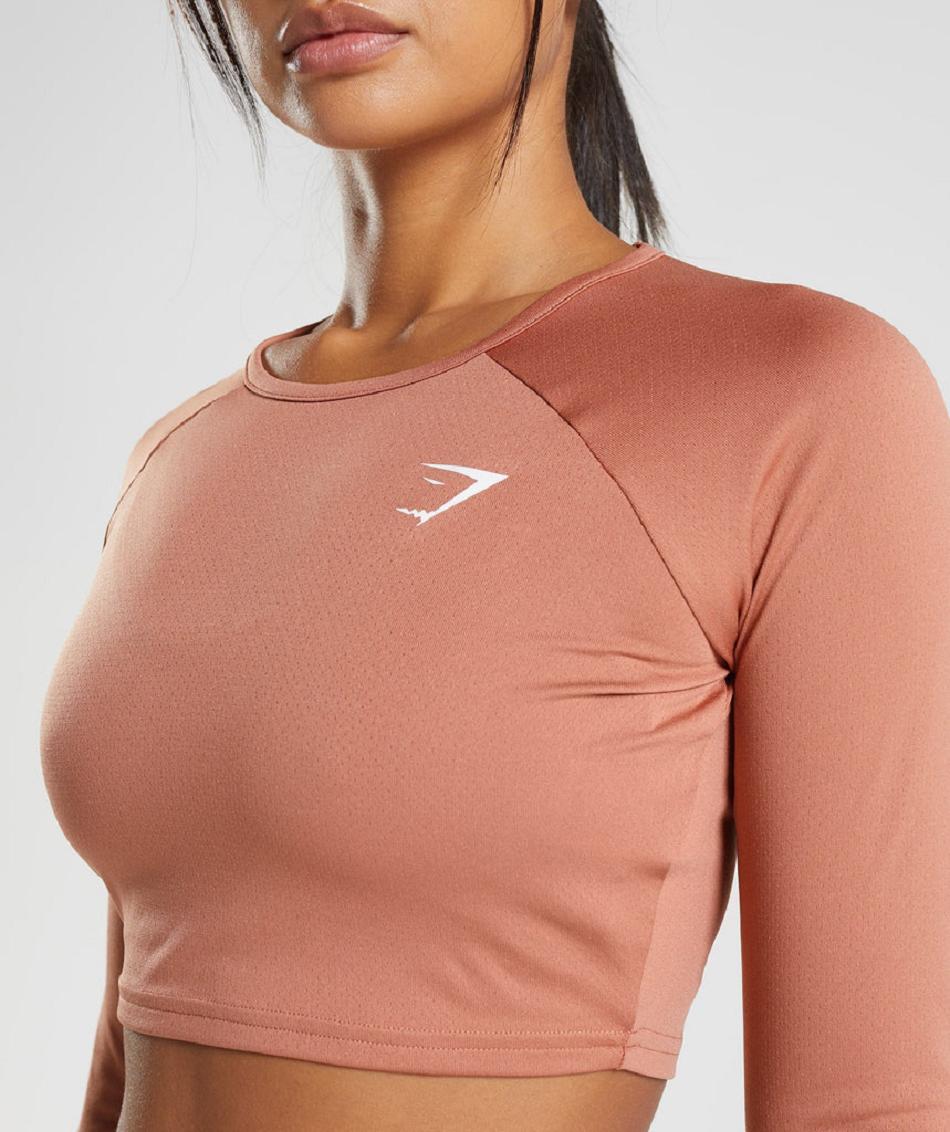 Corp Tops Gymshark Training Long Sleeve γυναικεια καφε | GR_AZ7200
