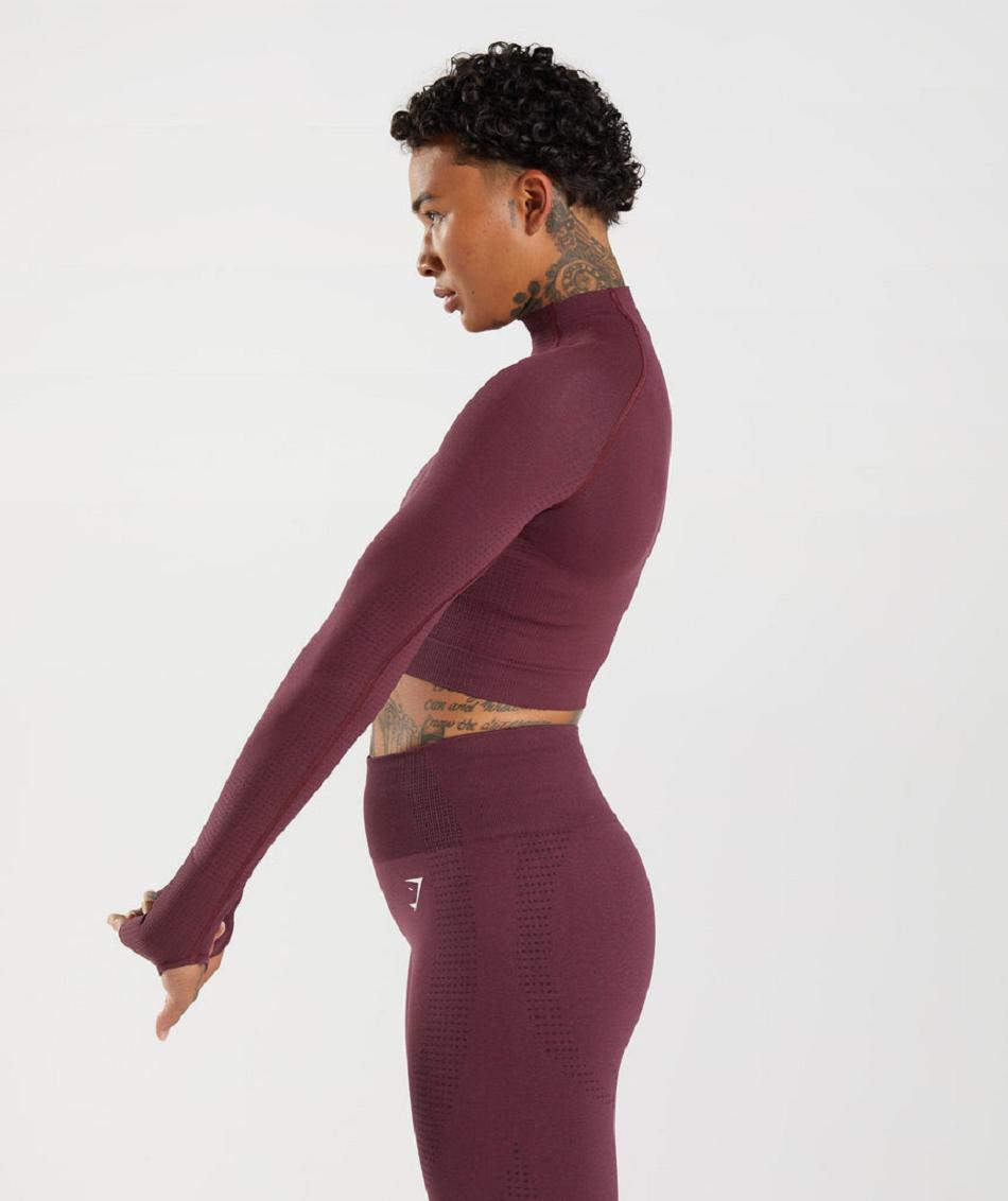 Corp Tops Gymshark Vital Seamless 2.0 High Neck γυναικεια μπορντο | GR_O1705
