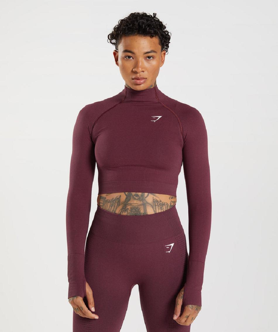 Corp Tops Gymshark Vital Seamless 2.0 High Neck γυναικεια μπορντο | GR_O1705
