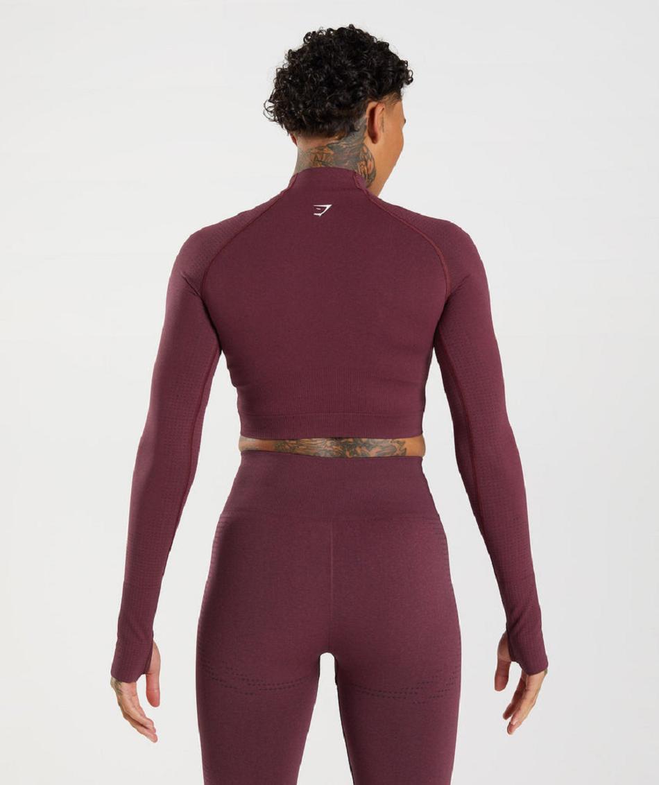 Corp Tops Gymshark Vital Seamless 2.0 High Neck Midi γυναικεια μπορντο | GR_CG4714