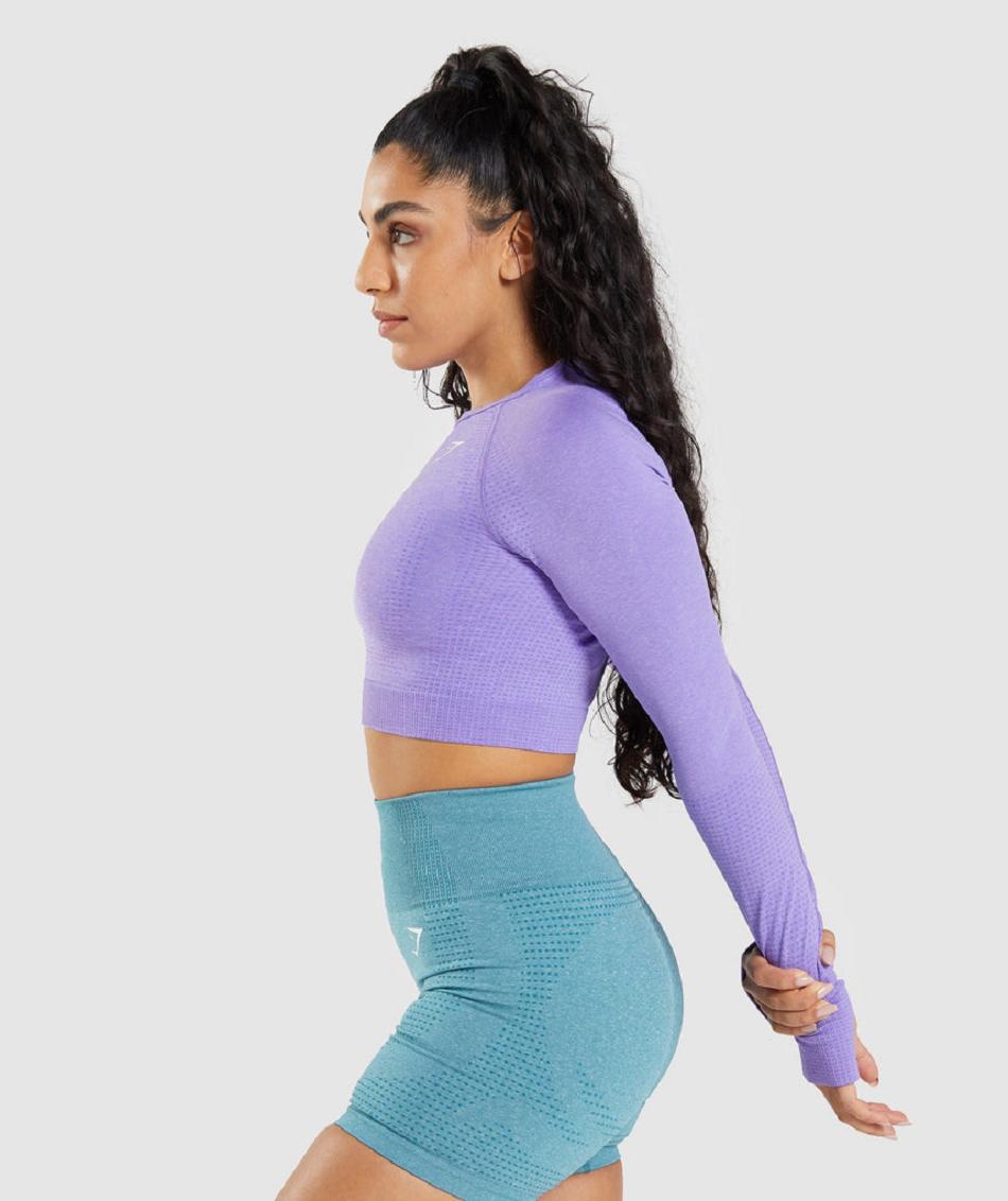 Corp Tops Gymshark Vital Seamless 2.0 Long Sleeve γυναικεια ανοιχτο μωβ | GR_VV3124