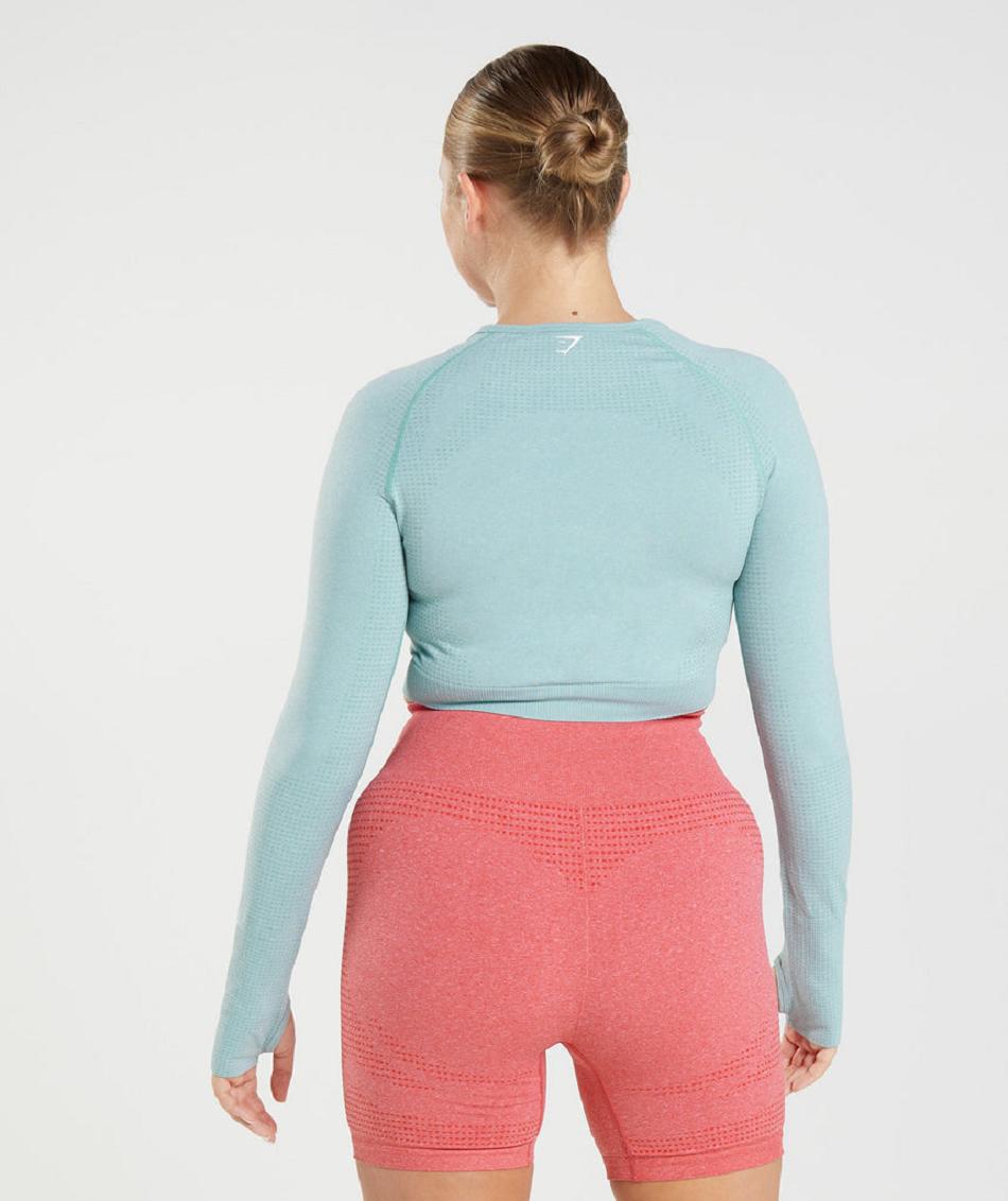 Corp Tops Gymshark Vital Seamless 2.0 γυναικεια μπλε | GR_O8288