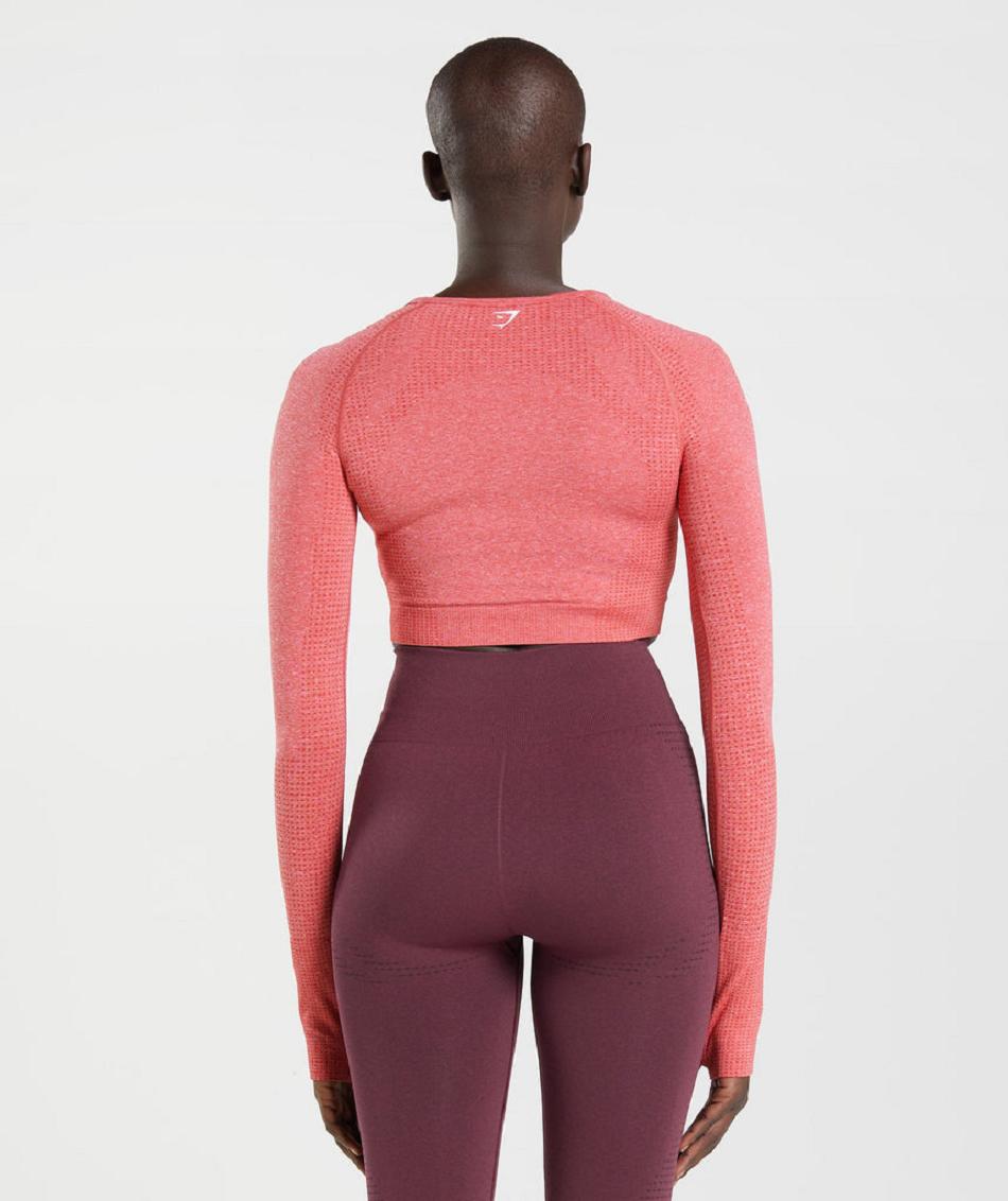 Corp Tops Gymshark Vital Seamless 2.0 γυναικεια κοκκινα | GR_IM6257