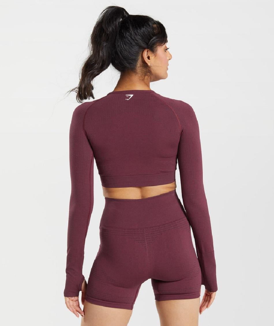 Corp Tops Gymshark Vital Seamless 2.0 γυναικεια μπορντο | GR_BH3917