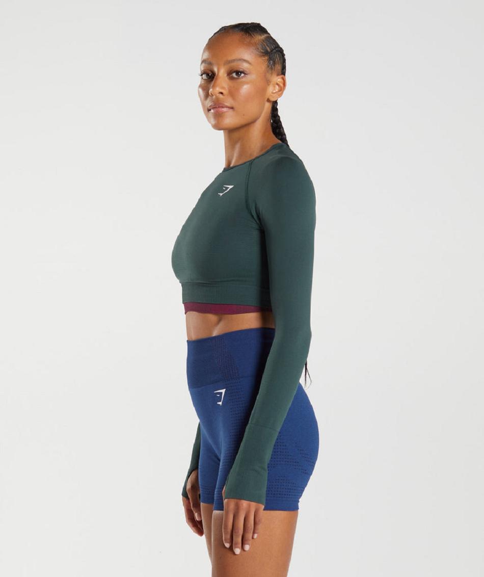 Corp Tops Gymshark Vital Seamless 2.0 γυναικεια πρασινο | GR_AZ8268