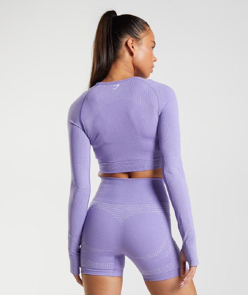 Corp Tops Gymshark Vital Seamless 2.0 γυναικεια μωβ | GR_TH3573