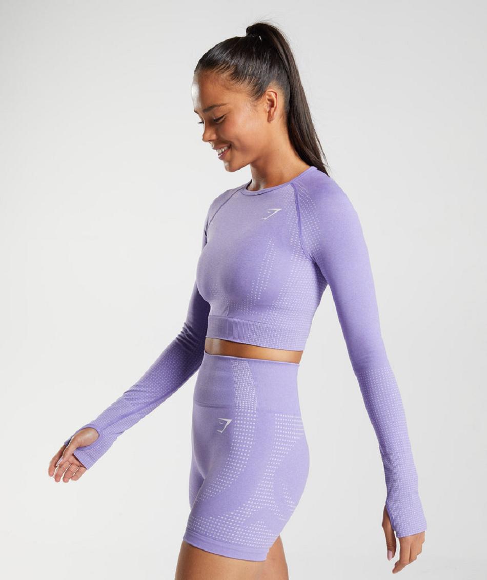 Corp Tops Gymshark Vital Seamless 2.0 γυναικεια μωβ | GR_TH3573
