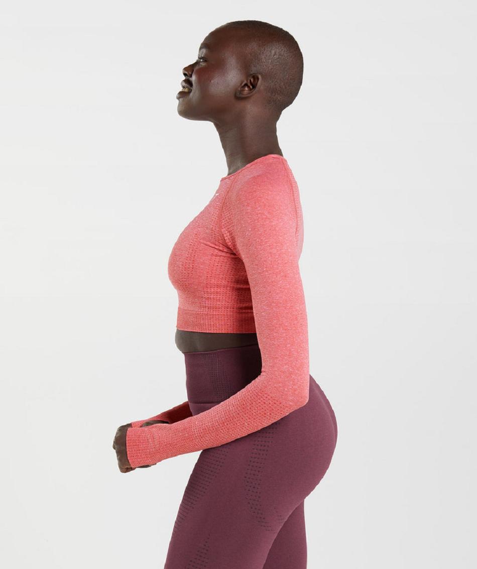 Corp Tops Gymshark Vital Seamless 2.0 γυναικεια κοκκινα | GR_CG5905