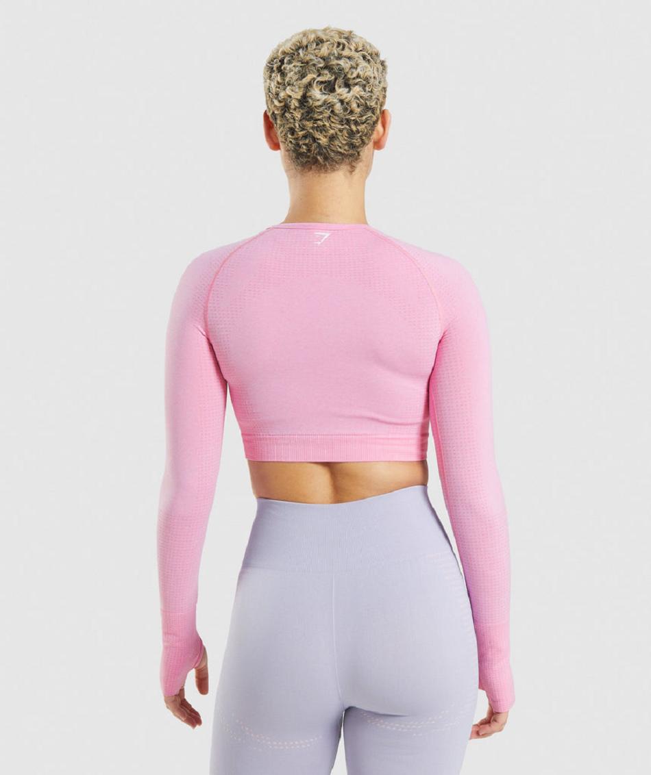 Corp Tops Gymshark Vital Seamless 2.0 γυναικεια ροζ | GR_AS6518