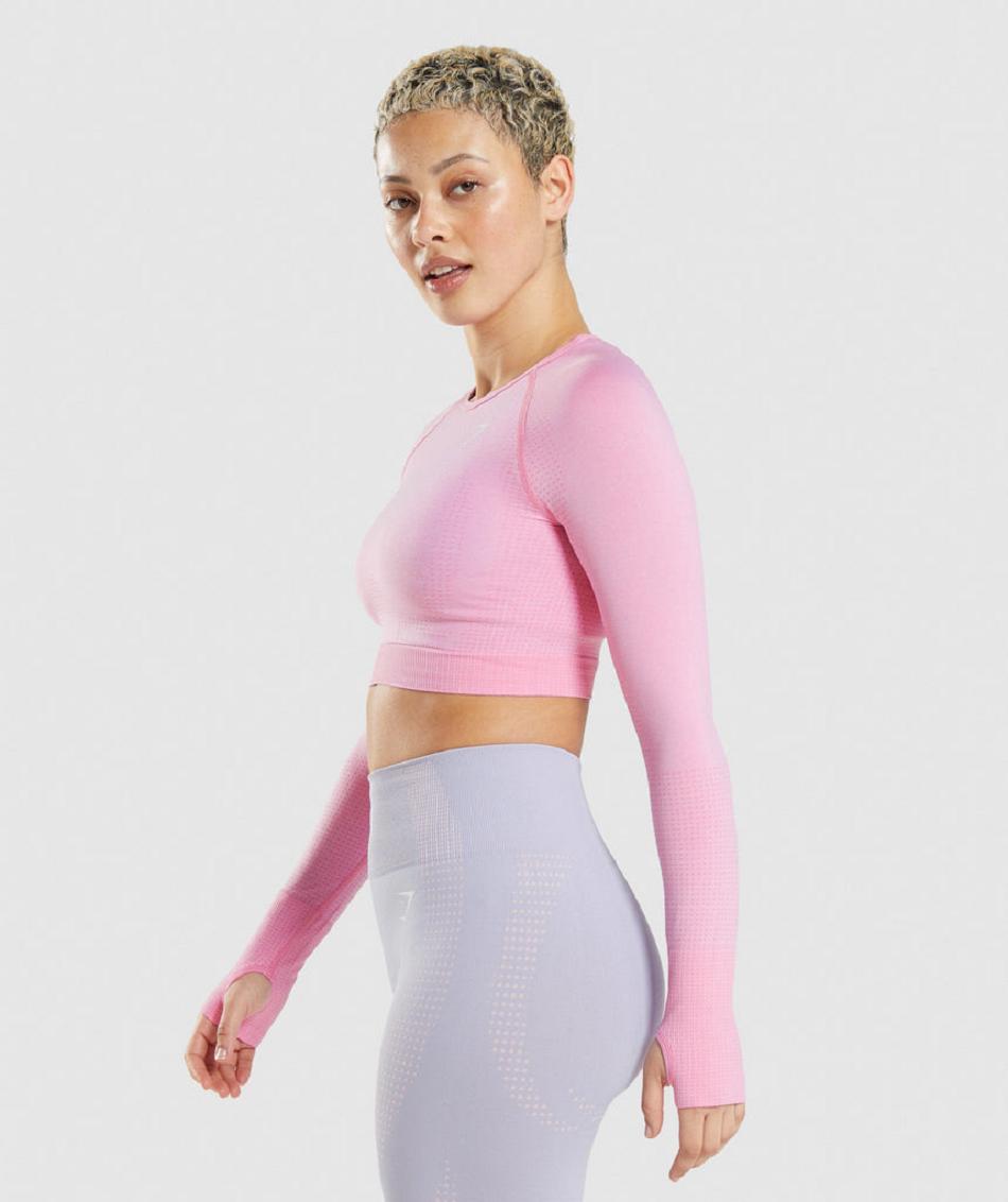 Corp Tops Gymshark Vital Seamless 2.0 γυναικεια ροζ | GR_AS6518