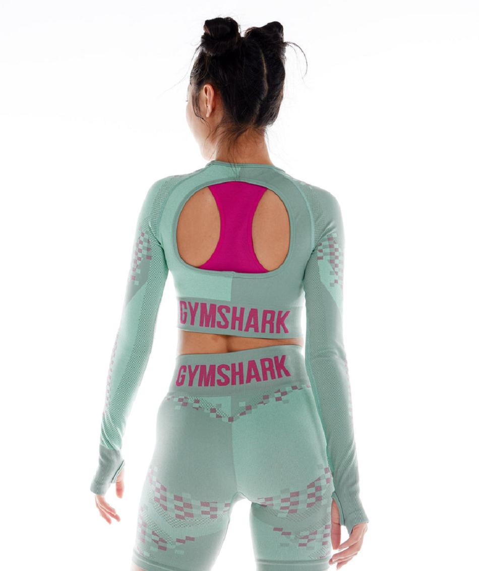 Corp Tops Gymshark Wtflex Cyborg Seamless Long Sleeve γυναικεια μπλε ροζ μπλε | GR_YJ3646