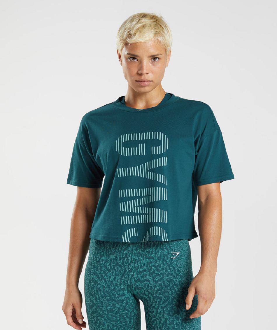T Shirts Gymshark 315 Midi γυναικεια τυρκουάζ μπλε | GR_TC7498