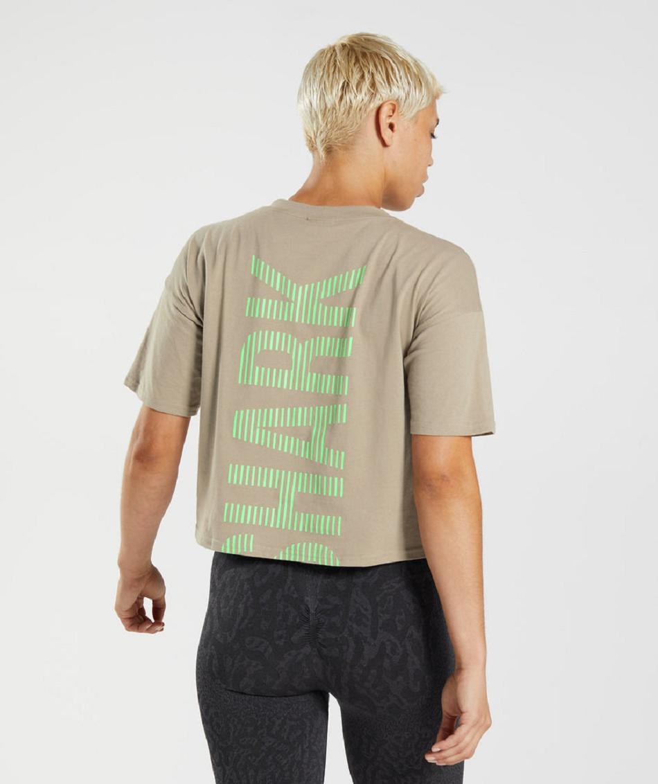 T Shirts Gymshark 315 Midi γυναικεια καφε ανοιχτο πρασινο | GR_NN9544
