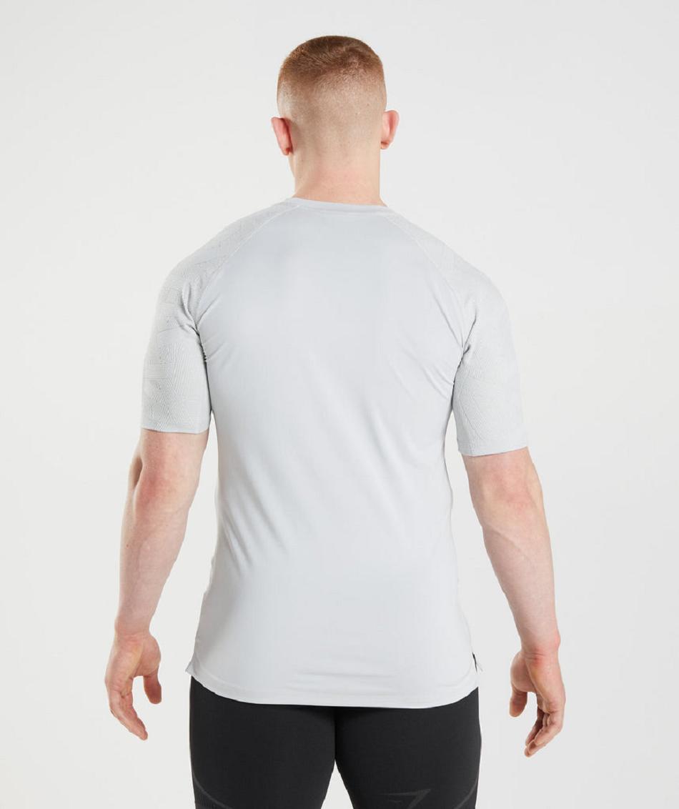 T Shirts Gymshark 315 ανδρικα ανοιχτο γκρι | GR_SU5924