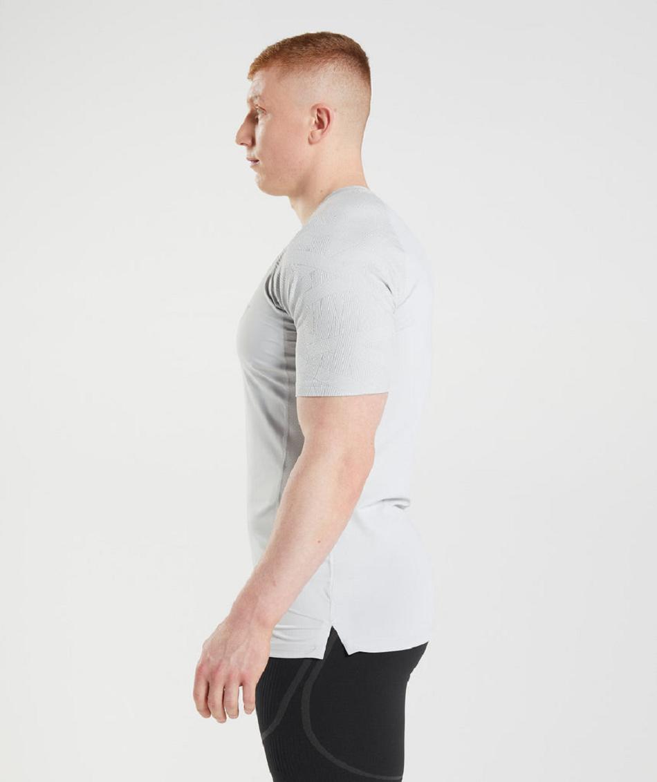 T Shirts Gymshark 315 ανδρικα ανοιχτο γκρι | GR_SU5924