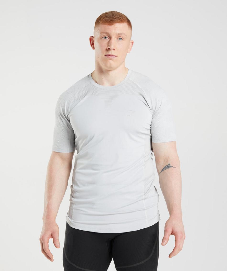 T Shirts Gymshark 315 ανδρικα ανοιχτο γκρι | GR_SU5924