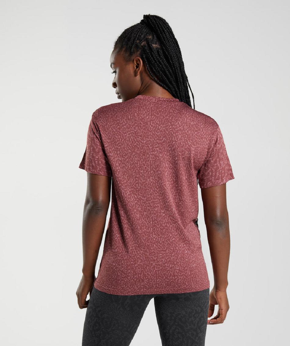 T Shirts Gymshark Adapt Animal Seamless γυναικεια ροζ καφε | GR_QX3923