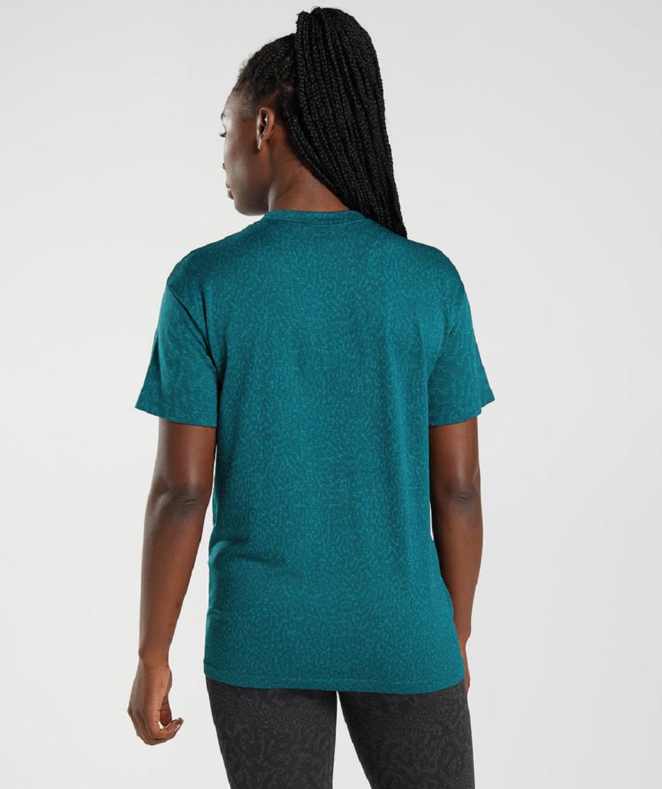 T Shirts Gymshark Adapt Animal Seamless γυναικεια τυρκουάζ | GR_TG3001