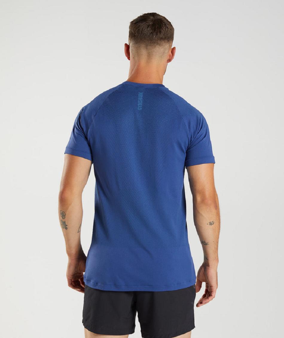 T Shirts Gymshark Apex Seamless ανδρικα μπλε μπλε | GR_ED4104