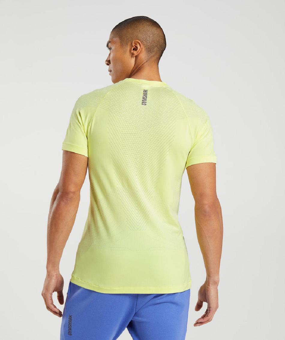 T Shirts Gymshark Apex Seamless ανδρικα πρασινο ασπρα | GR_V9761