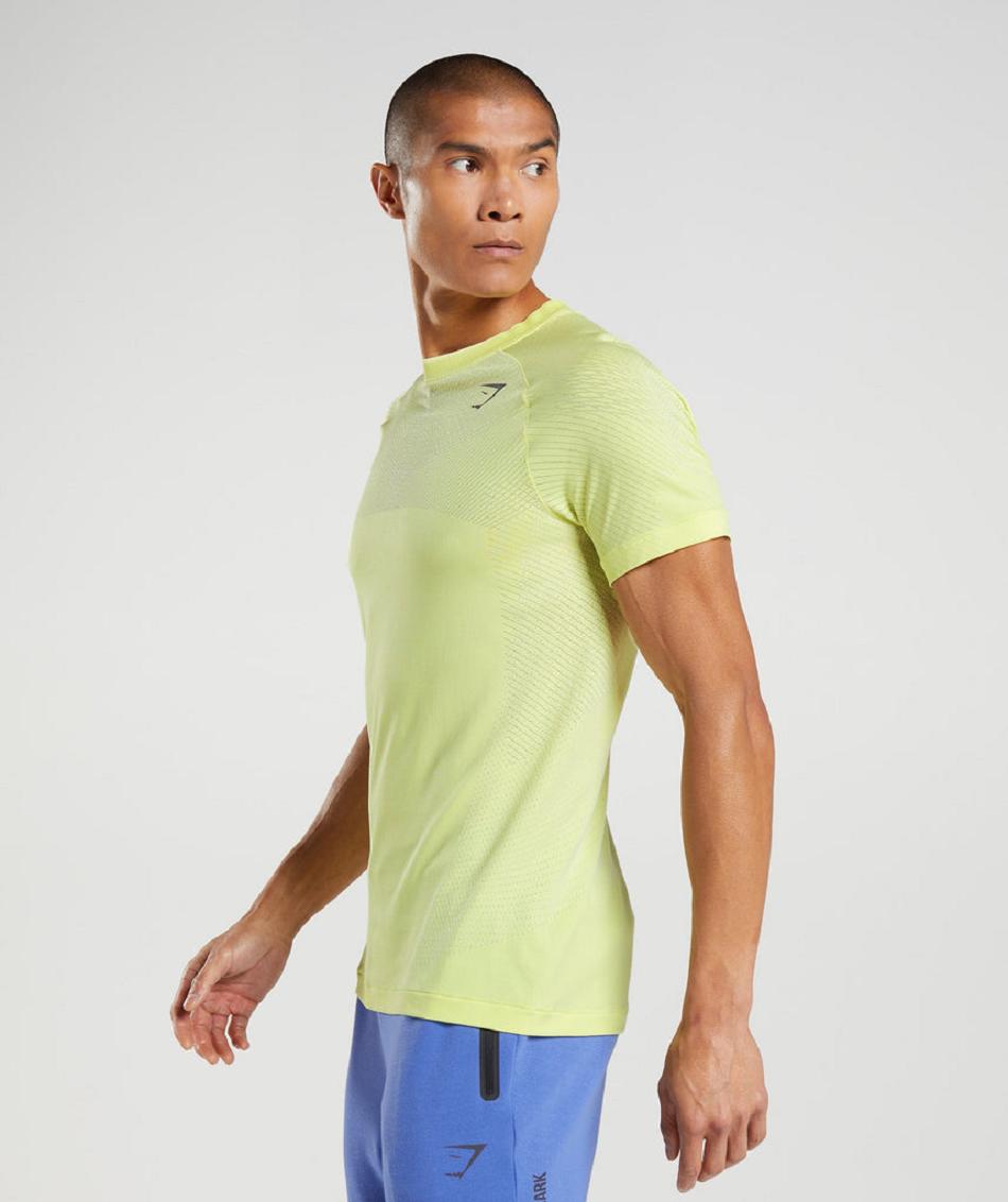 T Shirts Gymshark Apex Seamless ανδρικα πρασινο ασπρα | GR_V9761