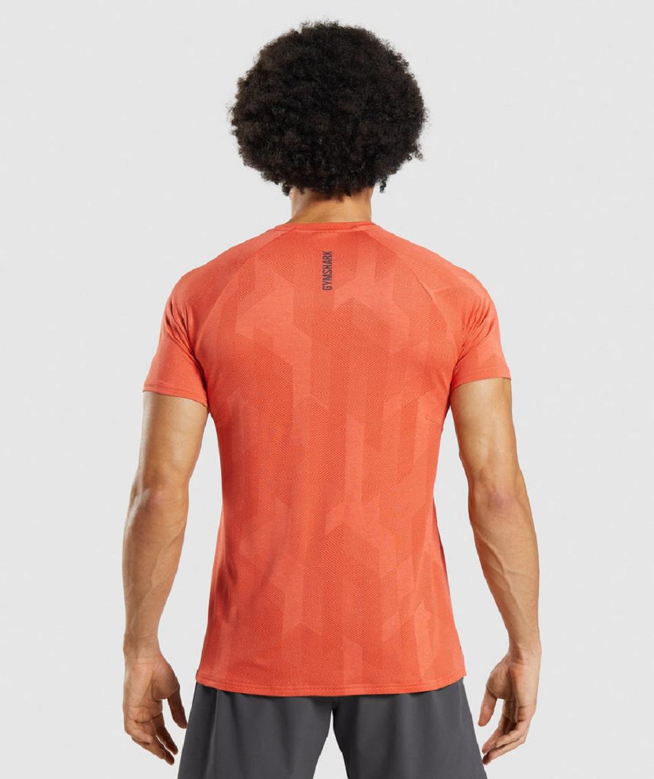 T Shirts Gymshark Apex ανδρικα πορτοκαλι πορτοκαλι | GR_EE9286