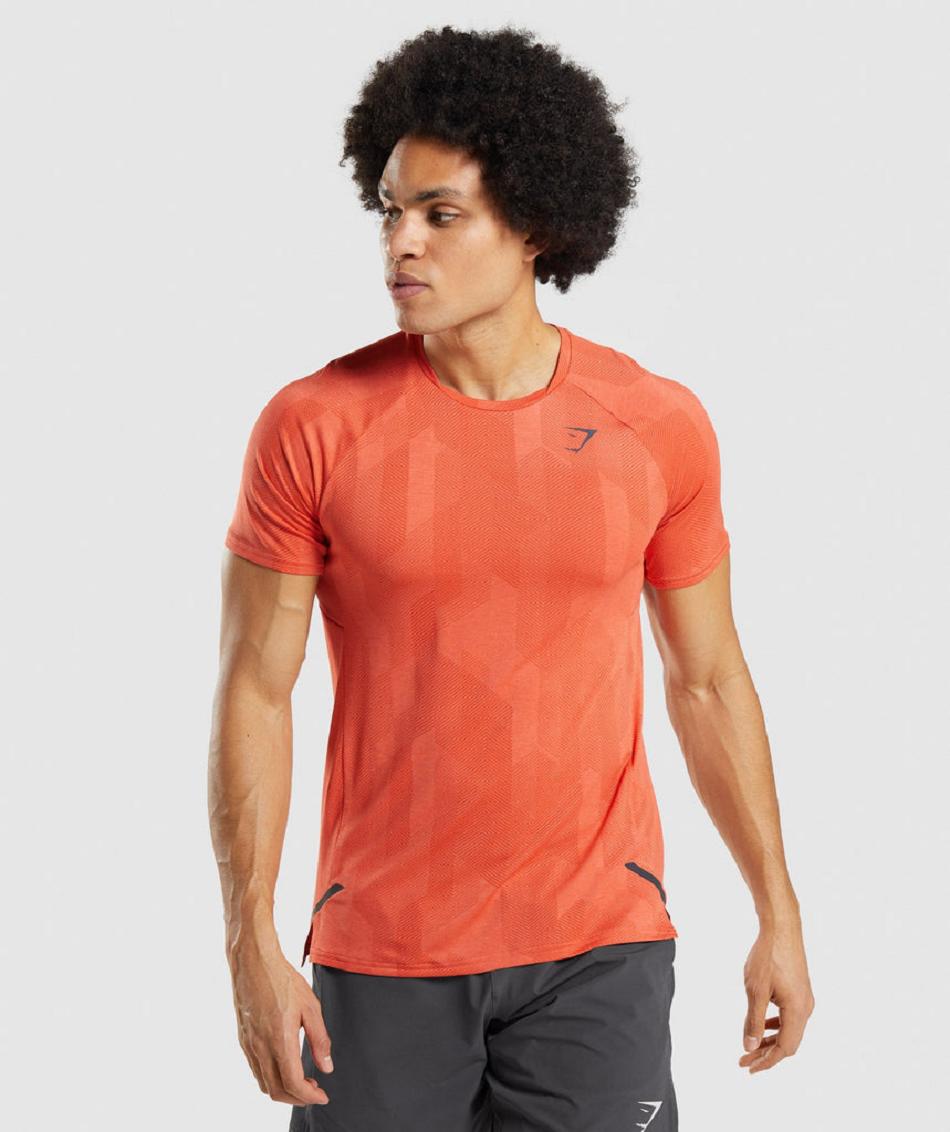 T Shirts Gymshark Apex ανδρικα πορτοκαλι πορτοκαλι | GR_EE9286