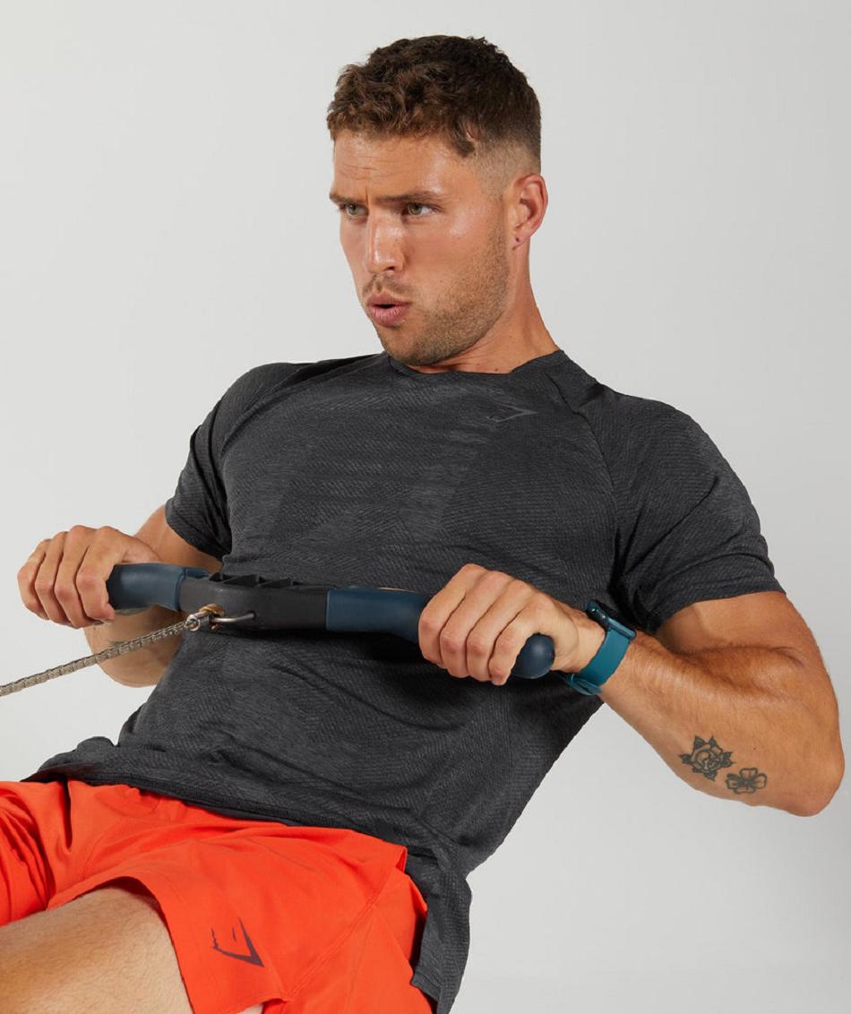 T Shirts Gymshark Apex ανδρικα μαυρα γκρι | GR_O4313