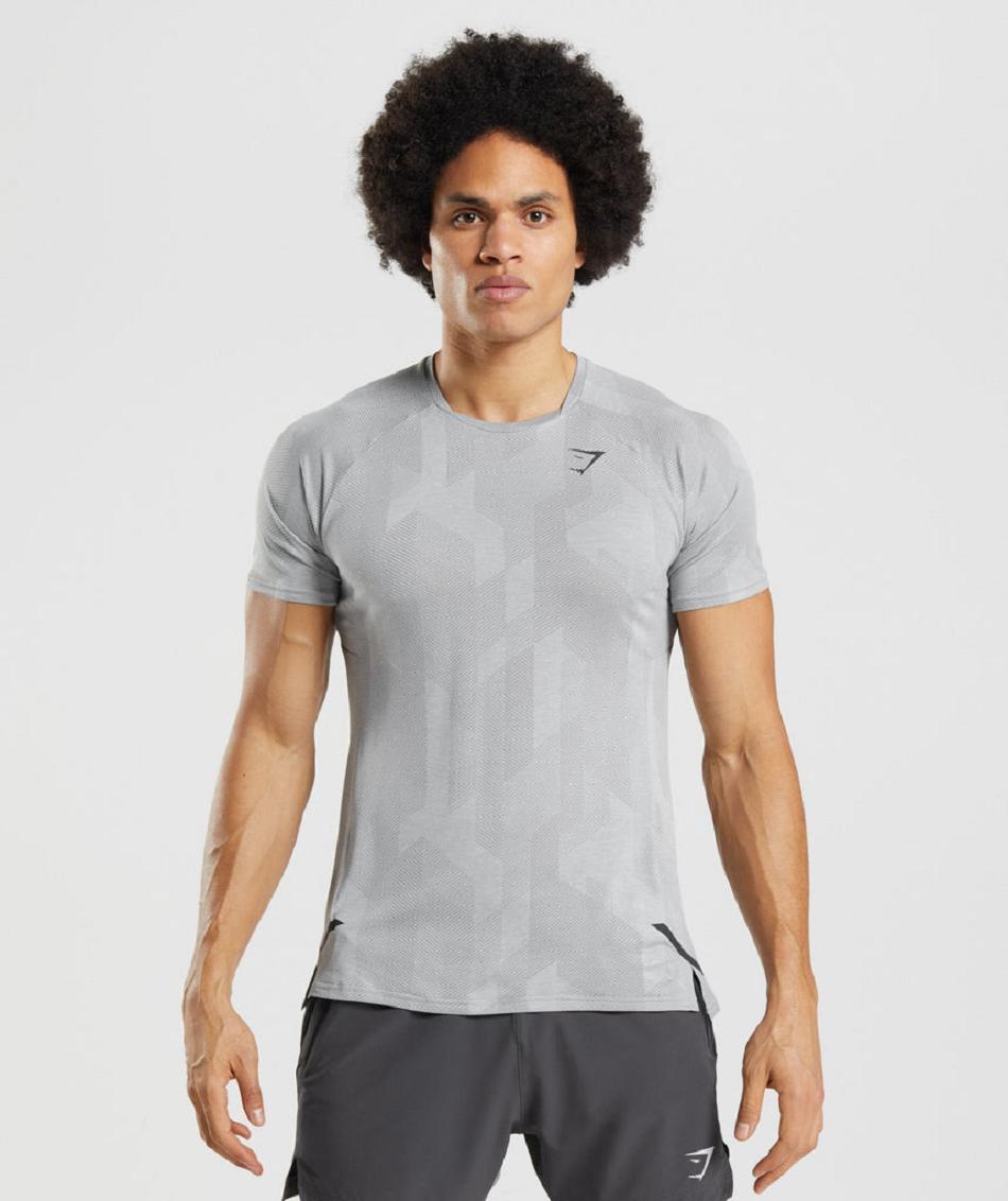 T Shirts Gymshark Apex ανδρικα γκρι ανοιχτο γκρι | GR_SU9205