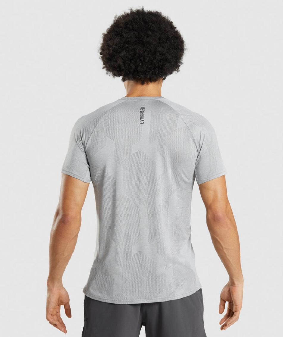 T Shirts Gymshark Apex ανδρικα γκρι ανοιχτο γκρι | GR_SU9205