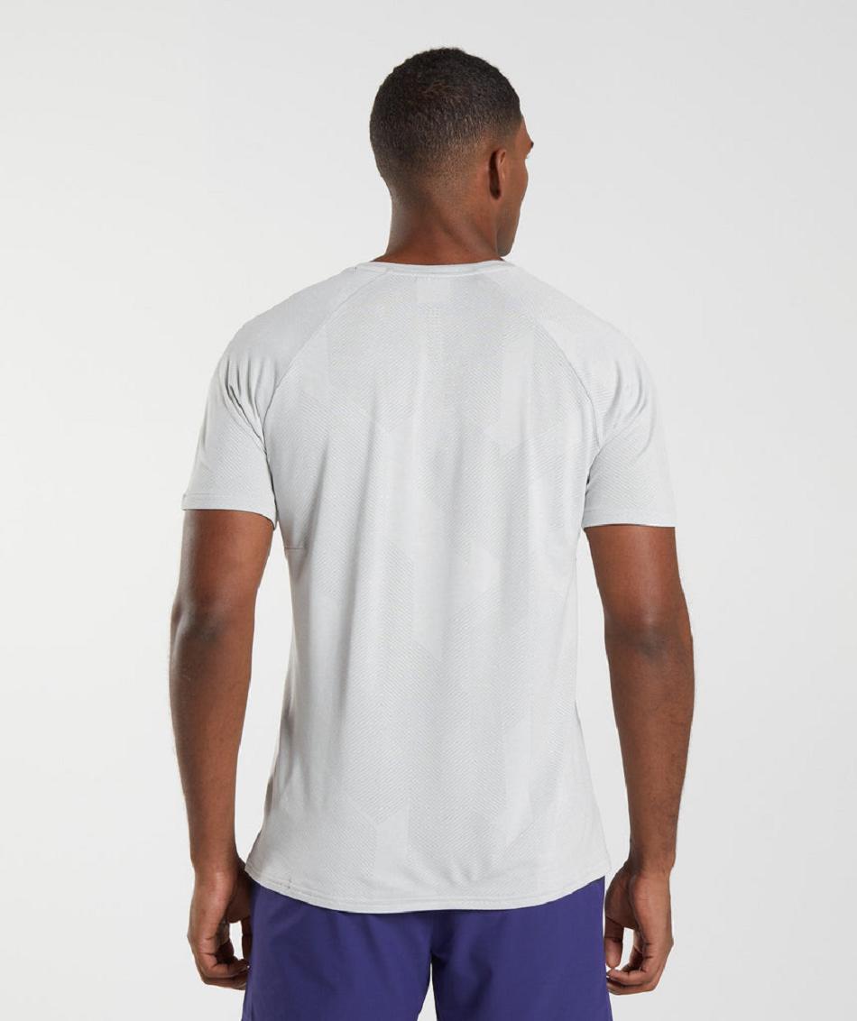 T Shirts Gymshark Apex ανδρικα ανοιχτο γκρι ασπρα | GR_TA4514