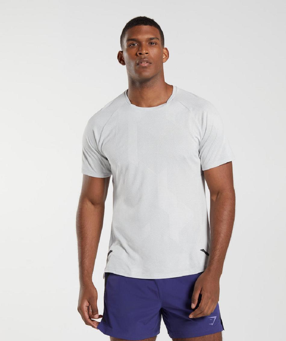 T Shirts Gymshark Apex ανδρικα ανοιχτο γκρι ασπρα | GR_TA4514