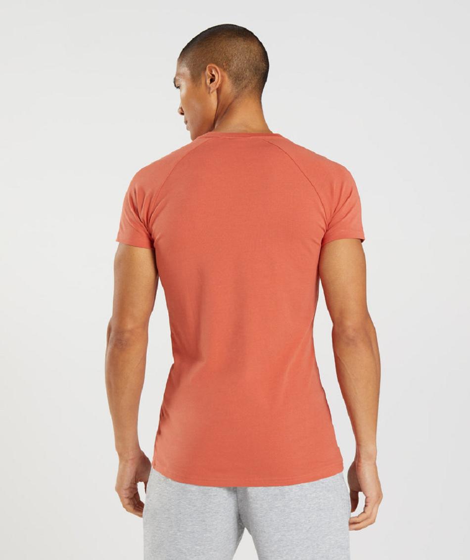 T Shirts Gymshark Apollo ανδρικα κοκκινα | GR_CG1911