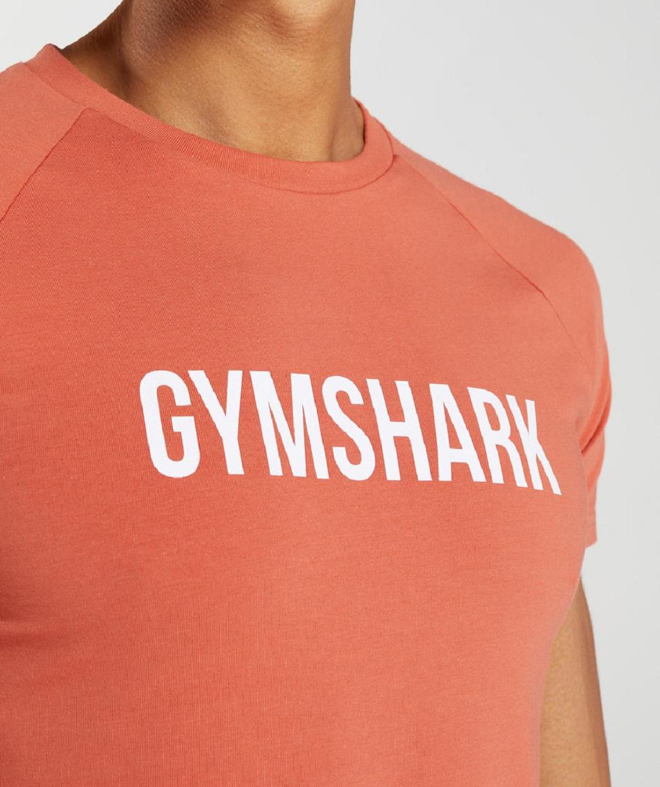 T Shirts Gymshark Apollo ανδρικα κοκκινα | GR_CG1911