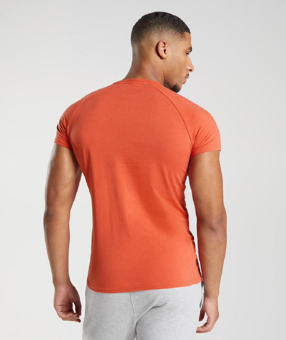 T Shirts Gymshark Apollo ανδρικα κοκκινα | GR_IM8294