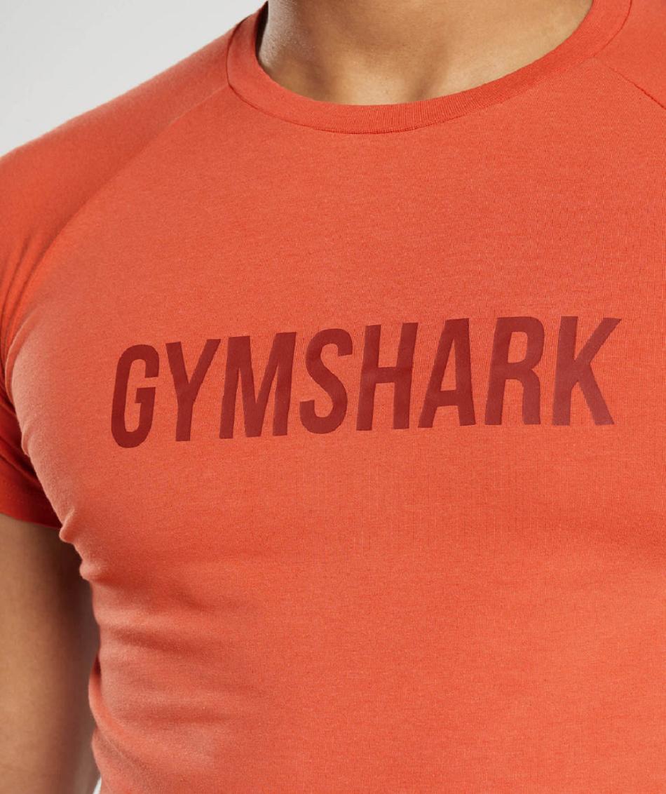T Shirts Gymshark Apollo ανδρικα κοκκινα | GR_IM8294