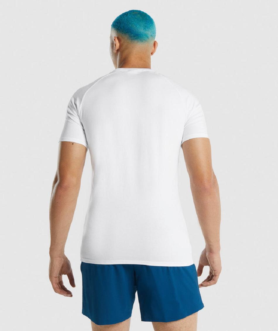 T Shirts Gymshark Apollo ανδρικα ασπρα | GR_XC9440